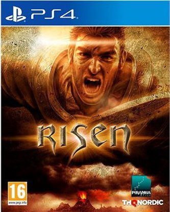 Picture of PS4 Risen - EUR SPECS