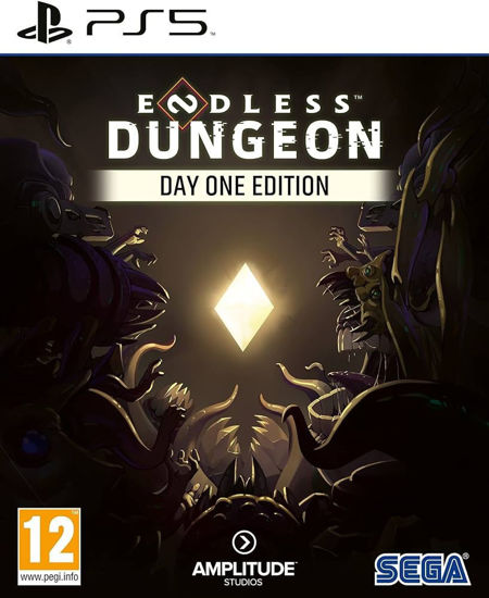 Picture of PS5 Endless Dungeon - EUR SPECS