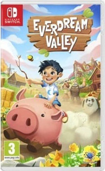 Picture of NINTENDO SWITCH Everdream Valley - EUR SPECS